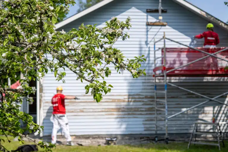 Puun oksa, jonka taustalla sumeajna sininen talo, jota kaksi maalaria parhaillaan maalaavat