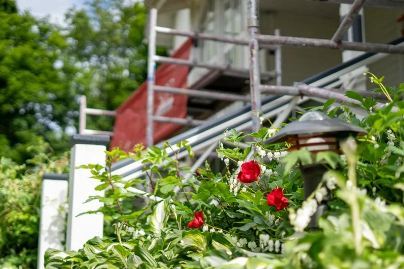 Etualalla ruusupensas